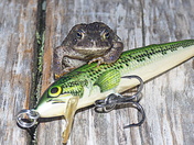 Posing with his catch