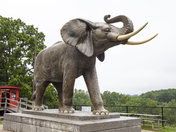 Jumbo the Elephant Memorial