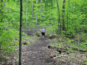 In joying the Out doors 