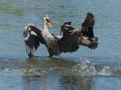 The power of Parenting