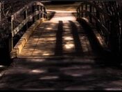 Sunset Bridge 