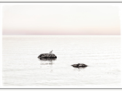 MANITOULIN MINIMALISM