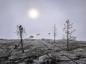 FOGGY SHORE