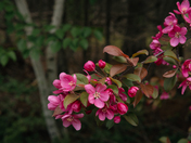 the beauty of nature