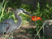 Hmmm so what do we do now?