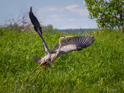 Lift off