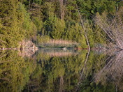 Reflections of Lake Rosland