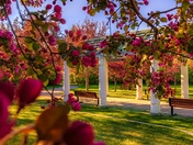Pink Flowers Framing A Spring Park