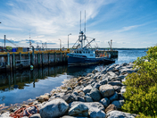 Coastal Living