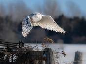 Lift Off