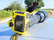 Curious Redwinged Blackbird