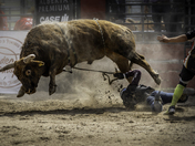 End Of An Epic Hold (and of a triptych)