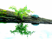 Looking at life from both sides