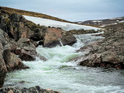 Baffin Island Summer