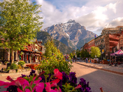 Flowers By The Banff Avenue Road Leading To The Mountains
