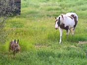 Checking Out The Intruder