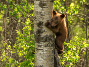 Hang in there baby....