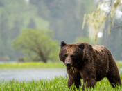 THERE IS SOME GOOD IN THIS WORLD AND IT'S WORTH FIGHTING FOR