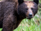 THERE IS SOME GOOD IN THIS WORLD AND IT'S WORTH FIGHTING FOR