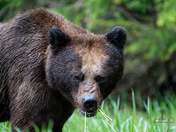 THERE IS SOME GOOD IN THIS WORLD AND IT'S WORTH FIGHTING FOR