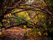Autumn Hideaway 