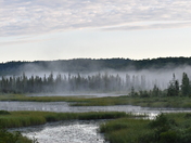 Early Morning in Algonquin