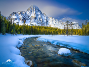 Winter on Mistaya River