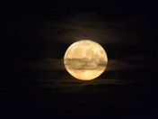Full moon