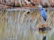 Just a peaceful scene