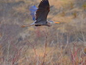 Just a peaceful scene