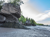 Hopewell Rocks (#4a)
