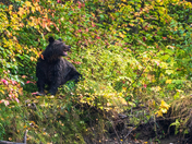 For a moment all the world was right