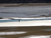 Between land and water 