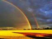 two scoops of rainbow 