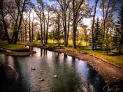Reflections at the park 