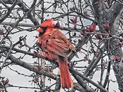 branch'n it 