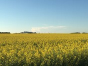 Philip J. Currie Dinosaur Musuem