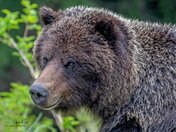 Smile and the Whole World Smiles with you!