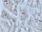 Up Close and Personal with Snow