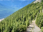 On Top of Ol' Sulphur