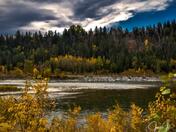 Summery Autumn Alberta 