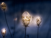 The first snow magic (children edition)