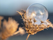 Frozen bubbles 