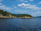 The Saguenay fjord Belugas