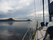 The Saguenay fjord Belugas