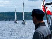 The Saguenay fjord Belugas