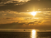 The Saguenay fjord Belugas