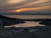 The Saguenay fjord Belugas