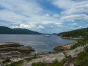 The Saguenay fjord Belugas