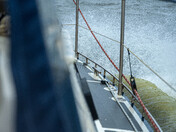 The Saguenay fjord Belugas
